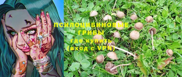 ПСИЛОЦИБИНОВЫЕ ГРИБЫ Балабаново