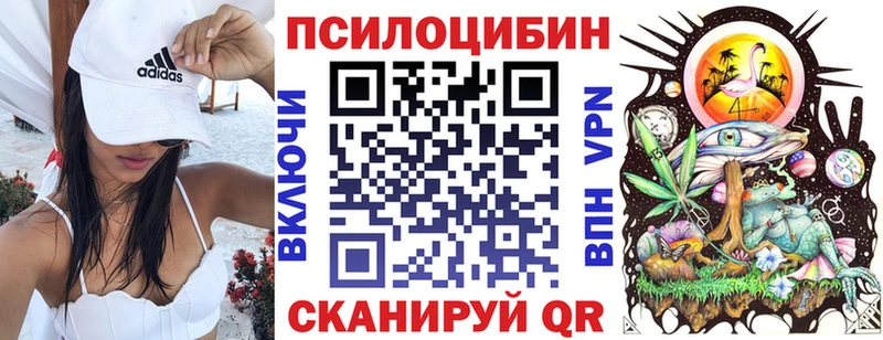 купить наркотики сайты  Ядрин  Псилоцибиновые грибы GOLDEN TEACHER 